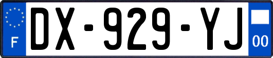 DX-929-YJ