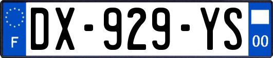 DX-929-YS