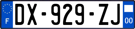 DX-929-ZJ