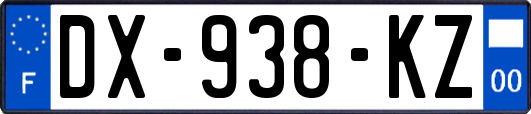DX-938-KZ