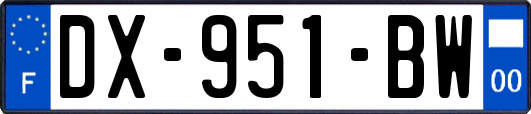 DX-951-BW