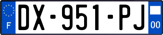 DX-951-PJ