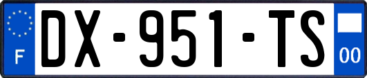 DX-951-TS