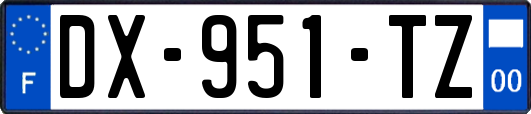 DX-951-TZ