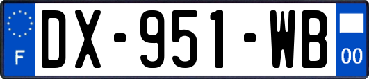 DX-951-WB