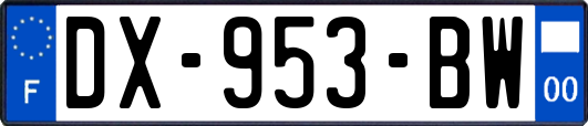 DX-953-BW