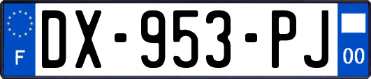 DX-953-PJ