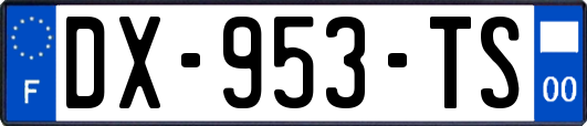DX-953-TS