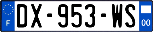 DX-953-WS