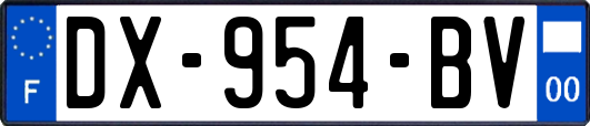 DX-954-BV