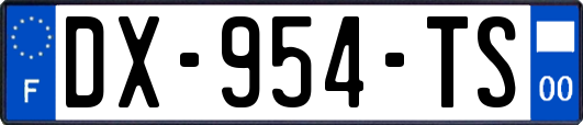 DX-954-TS