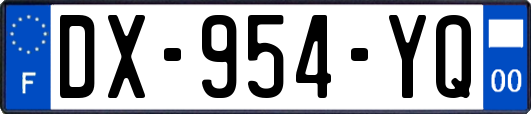 DX-954-YQ