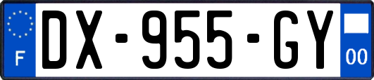 DX-955-GY