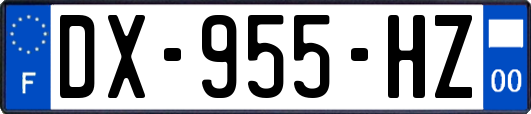 DX-955-HZ
