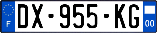 DX-955-KG