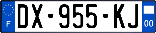 DX-955-KJ