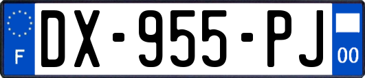 DX-955-PJ