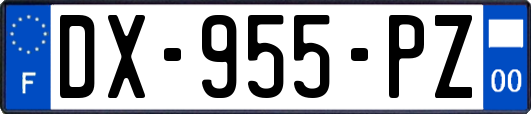 DX-955-PZ