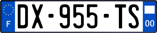 DX-955-TS