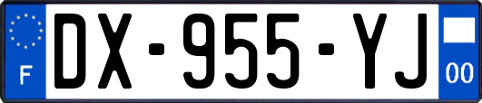 DX-955-YJ
