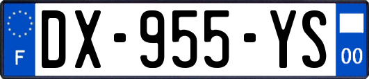 DX-955-YS