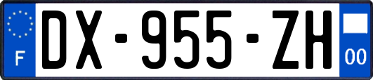 DX-955-ZH