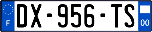 DX-956-TS