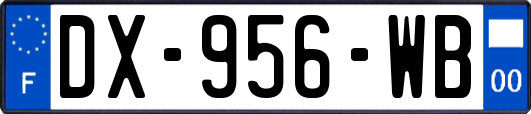 DX-956-WB