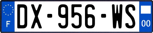 DX-956-WS