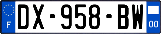 DX-958-BW