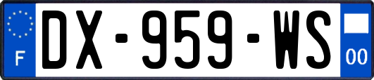 DX-959-WS