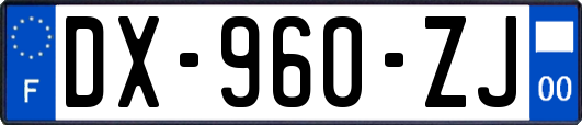 DX-960-ZJ