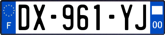 DX-961-YJ