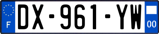 DX-961-YW