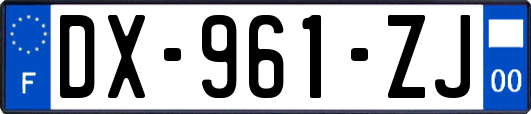 DX-961-ZJ