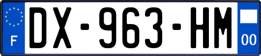 DX-963-HM