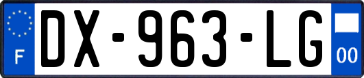 DX-963-LG