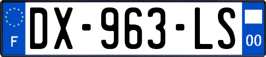 DX-963-LS