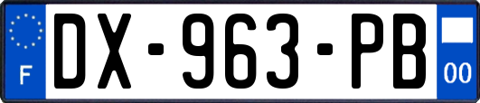 DX-963-PB
