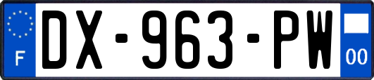 DX-963-PW