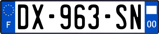 DX-963-SN