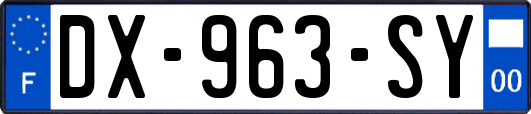 DX-963-SY