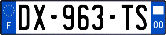 DX-963-TS