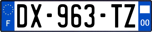DX-963-TZ