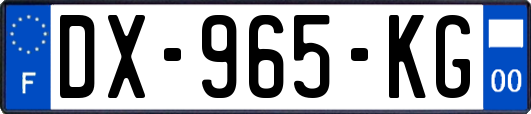 DX-965-KG