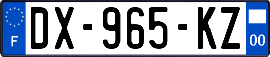 DX-965-KZ