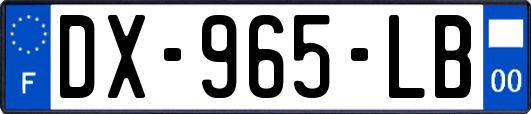 DX-965-LB