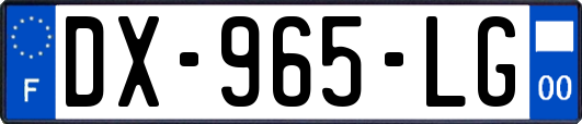 DX-965-LG