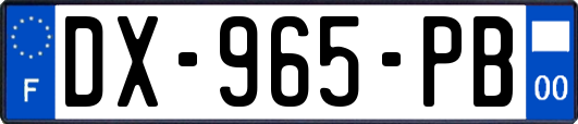DX-965-PB