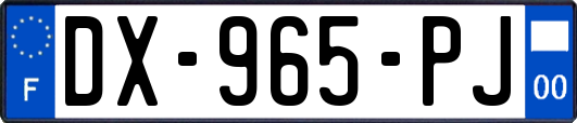 DX-965-PJ